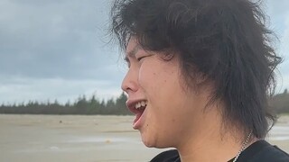 海边的日出你们可能看过，但是海边的树你们肯定没上过！