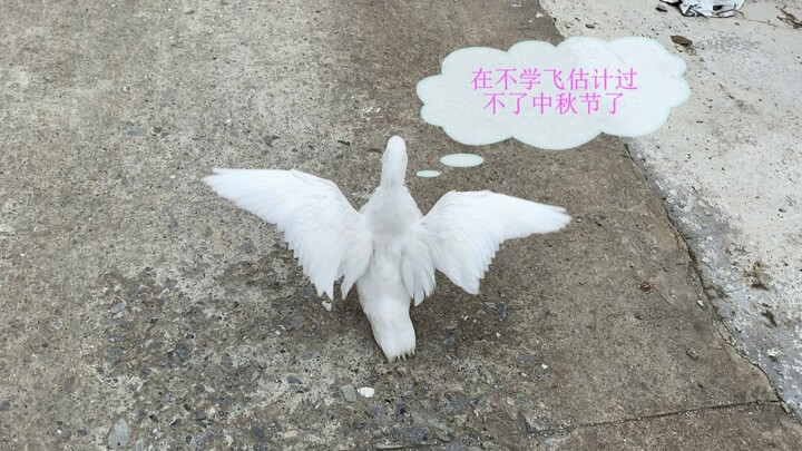 เอาชีวิตรอดยากจริงๆ ขนาดวันหยุดยังถูกบังคับให้เปิดร้าน!