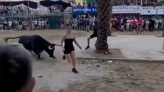 牛脾气上来了，拦都拦不住