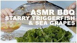 ASMR Mukbang Starry Triggerfish & Sea Grapes (ASMR Korea Indonesia Thai Manila UK USA Hong Kong)