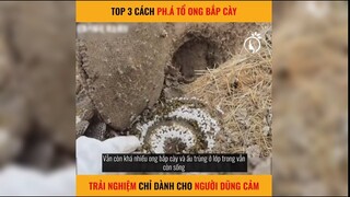 Cách troll ong mà không bao giờ sợ bị đốt | LT Revieq