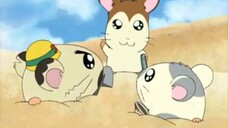 Hamtaro Episode 06 First Time at the Beach