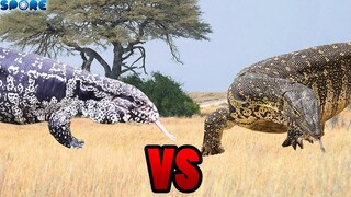 Argentine Tegu vs Nile Monitor | SPORE