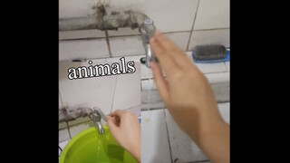 ก๊อกน้ำในห้องนอนเราเล่นเป็นเพลง animals