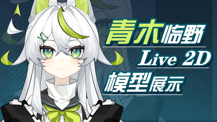 [Màn hình mô hình L2D] Tất nhiên con sói đuôi to giá chục nghìn là dễ thương! !