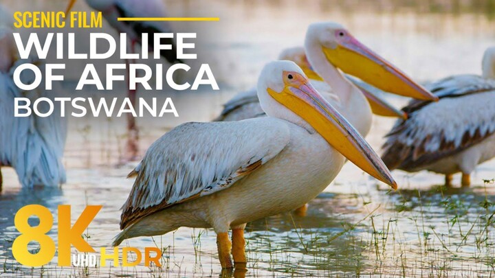 LAKES  SEAS  Anatolia Ancient Nature Full Episode (1080P_HD)