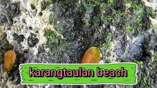 pantai indah selatan jawa barat,wajib coba #karangtaulan#jawabarat#pangandaran#cipatujah#sindangkert