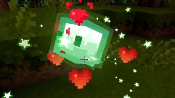 The first friend on my 30 Million Blocks journey... 🧭🟩 #shorts #minecraft