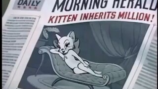 tom & jerry