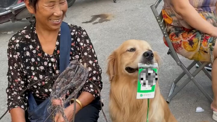 เขาทุ่มเทอย่างหนักเพื่อประคับประคองครอบครัวที่เขารักให้ยืนหยัดต่อไป!