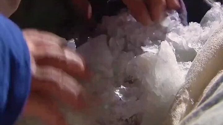 نجا بالكاد من مشرحة ويكشف عن أكبر قضية في عهد الإمبراطور تشيانلونغ