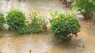 It's Raining 🌧🌧 #rainydays