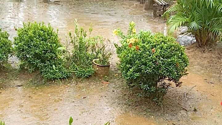 It's Raining 🌧🌧 #rainydays