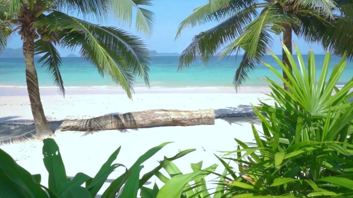 阿维皮拉度假村