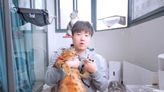 Membantu! Setelah mengebor pantat kucing, mengebor mulutku...