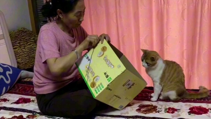 Melihat kakek dan nenek memelihara kucing dan anjing, aku seolah-olah melihat diriku di masa lalu.