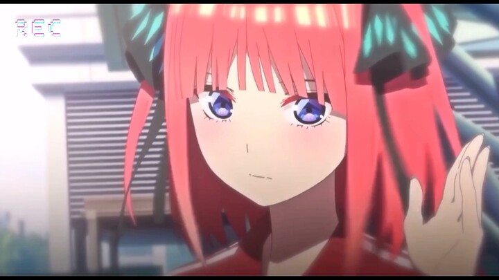 ต้าวนิโนะ (ทำคริปไปโหวตนิโนะ)