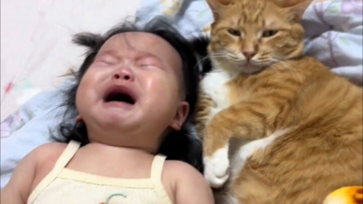 แมว: มนุษย์ เบอร์ลูกของคุณดังแล้ว