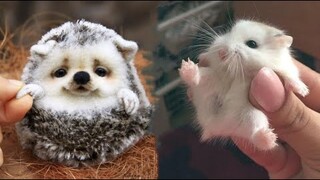 AWW SO CUTE! Cutest baby animals Videos Compilation Cute moment of the Animals - Cutest Animals #9