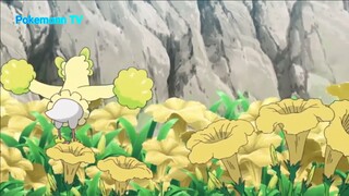 Pokemon Sun & Moon (Ep 18.3) Mật vàng #Pokemon_tap18