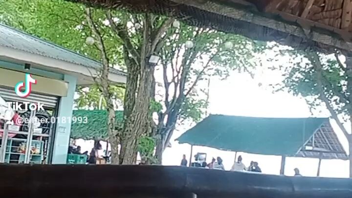 laiya