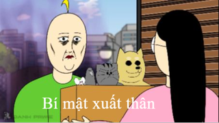 Bí mật xuất thân