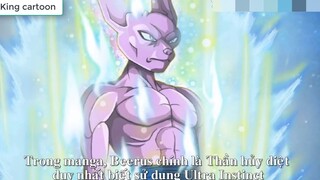 Beerus và Thứ hạng sức mạnh của các vị thần hủy diệt p10