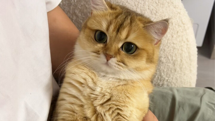 Cara ini tidak buruk...tapi akhir ceritanya tidak bagus...hahahahahaha