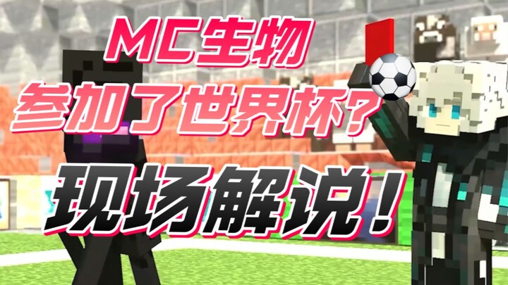 现场解说，MC生物参加了世界杯！！！