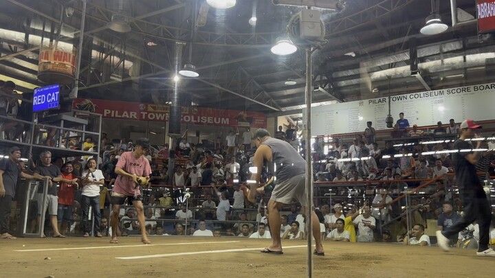 1st fight WIN 3stag derby Pilar coliseum WLW 8-15-26
