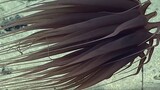 [Hewan]Ubur-Ubur di Laut Dalam