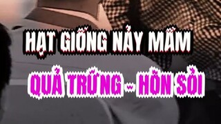 HẠT GIỐNG NẢY MẦM QUẢ TRỨNG - HÒN SỎI NGO