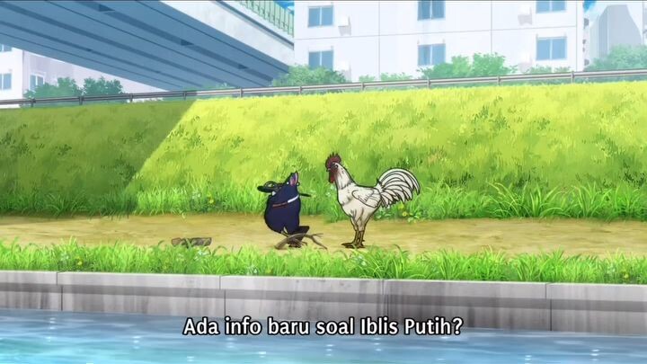 ribut terus nih wkwkkw