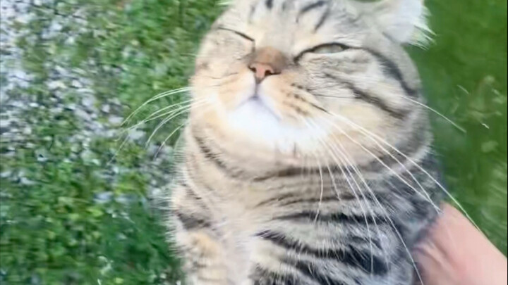 I know what you’re up to, but I’ll still spoil you!