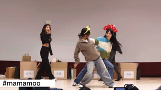 【Mamamoo】They've calmed down! Dance Party Part 2