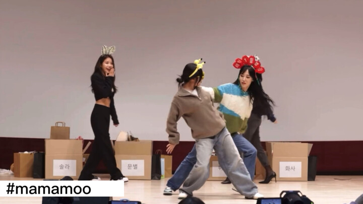 【Mamamoo】They've calmed down! Dance Party Part 2