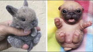 Cute baby animals Videos Compilation cute moment of the animals - Cutest Animals 28 รวบรวม