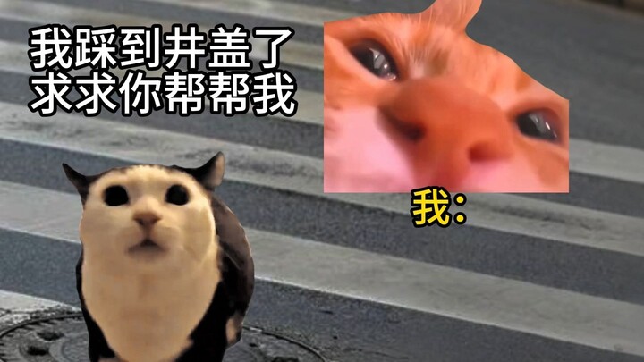 来东北不小心踩到井盖