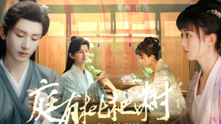 「庭有枇杷树」穿越者杀死了我的妻子·上