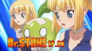 Dr.Stone ดร.สโตน เจ้าแห่งวิทยาศาสตร์กู้คืนอารยธรรมโลก ตอนที่ 20 พากย์ไทย