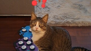 Fufu: Today's happiness came completely unexpectedly