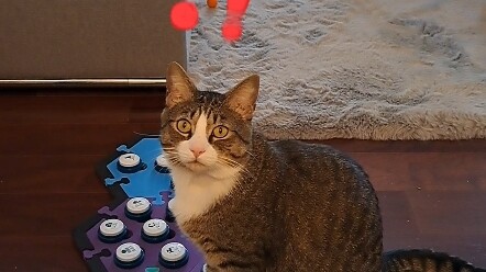 Fufu: Kebahagiaan hari ini datang tanpa disadari