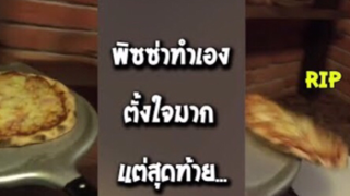 รวมคลิปตลกๆ : หมดกันอาหารเย็นตรู……