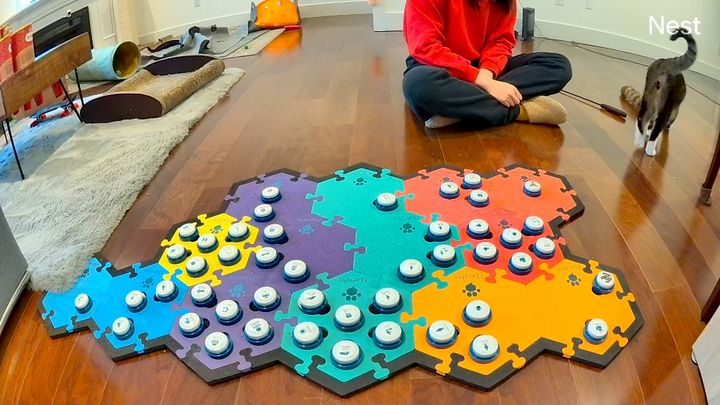 تحديث موجز سريع [أنا خلصت من العزوبية، دوجي]