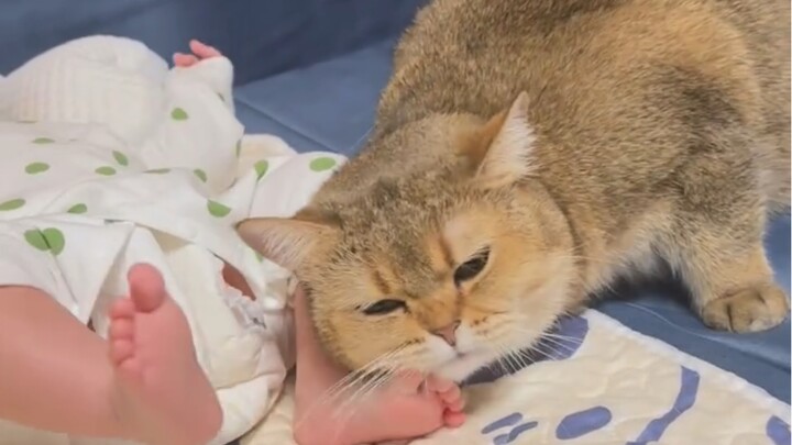 Adegan terkenal Hajime menenangkan bayi