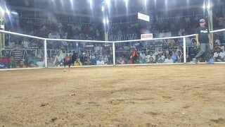 2nd fight win,,champion....balagtas cockpit