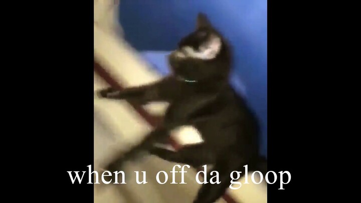 when u off da gloop