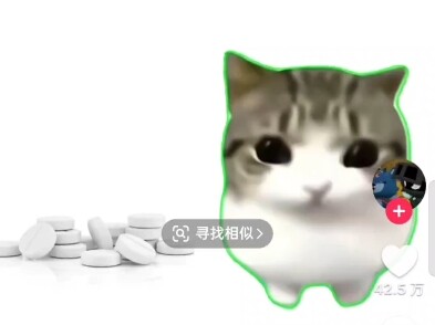 Trên TikTok, người nước ngoài cũng bắt đầu làm snack Cheetos; mèo con thích gì nhỉ?