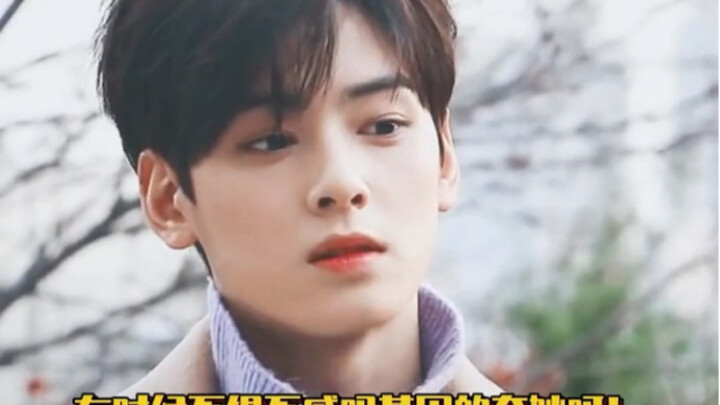 Em trai được đồn đoán của Cha Eun-woo