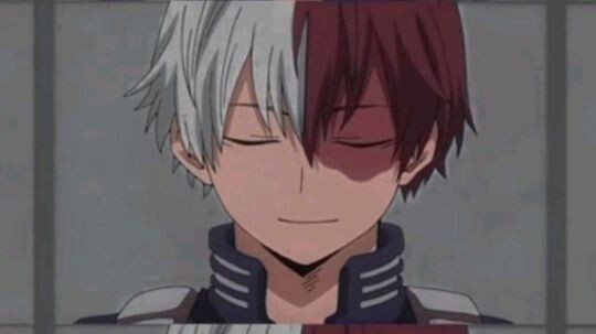 todoroki shoto